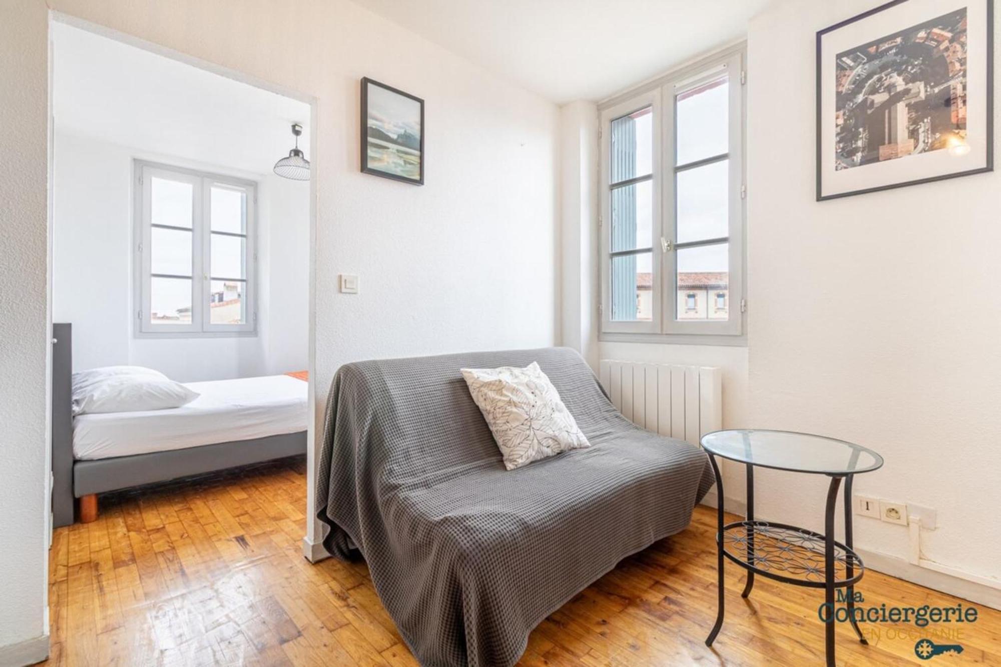 Parga 41 - 500 Metres Du Capitole - Hypercentre Tlse Apartment Toulouse Ngoại thất bức ảnh