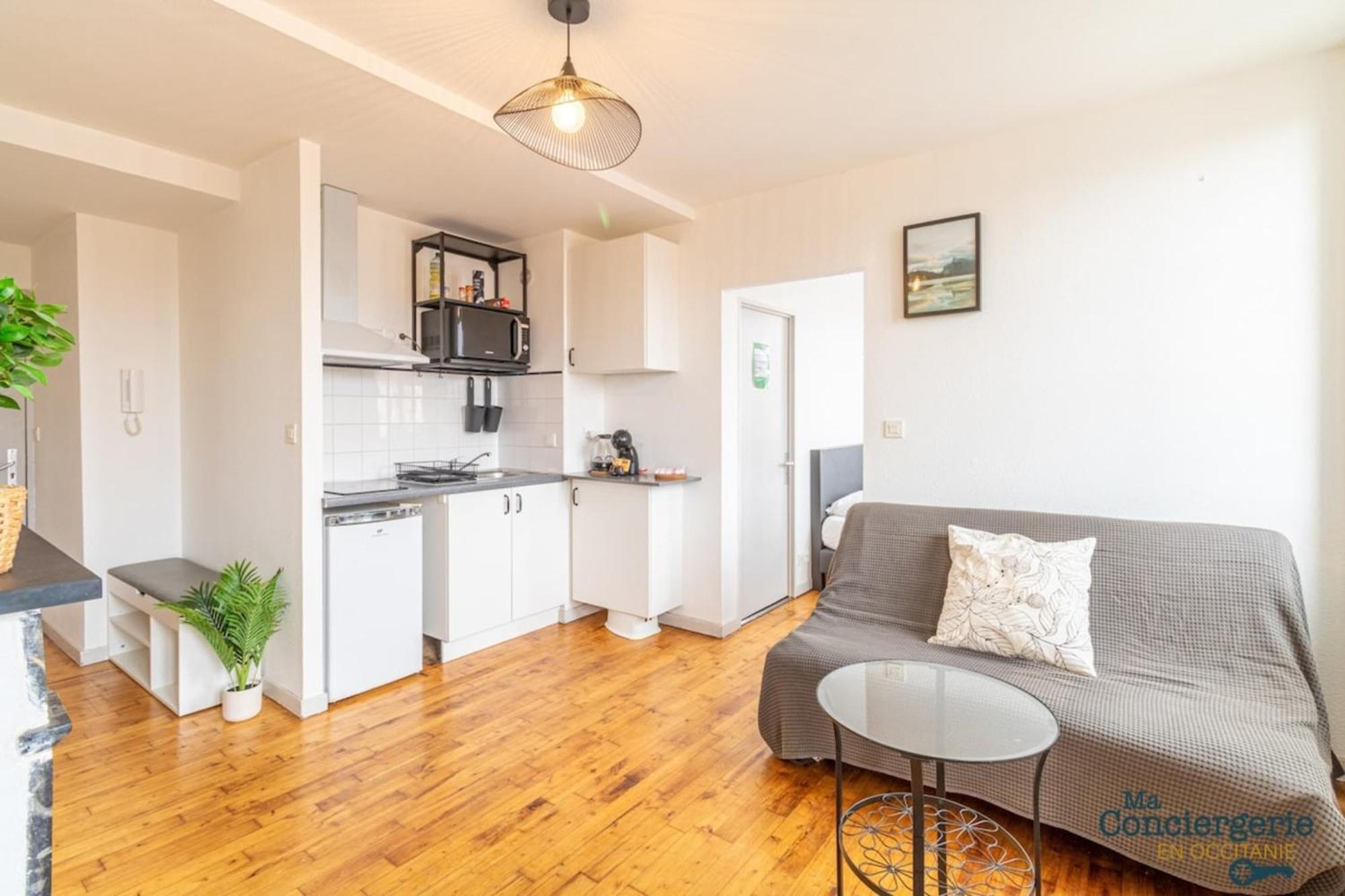 Parga 41 - 500 Metres Du Capitole - Hypercentre Tlse Apartment Toulouse Ngoại thất bức ảnh